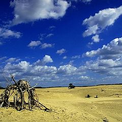 фото "bleu sky"