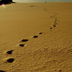 фото "Walking on the dunes"