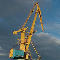 photo "The offended crane"