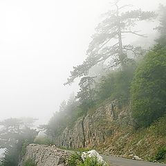 фото "Дорога в горах"