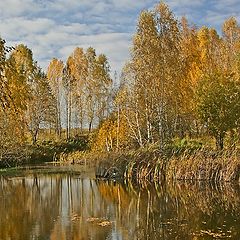 фото "Золотая осень"