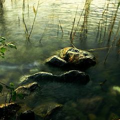 photo "The stones"