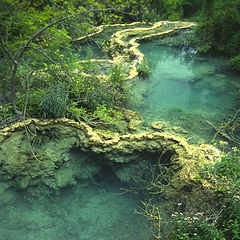 фото "Blue but green planet."