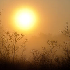 photo "Foggy Postcard with the Sun"