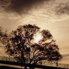 фото "GOOD MORNING BEIJING~"