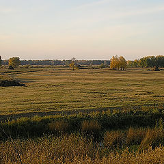 photo "Autumn in fields"
