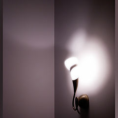 photo "Light"