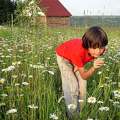 photo "Joy to lifes"