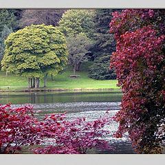 фото "autumn by the lake"