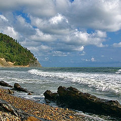 photo "Rocky coast"