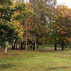 photo "Autumn park"