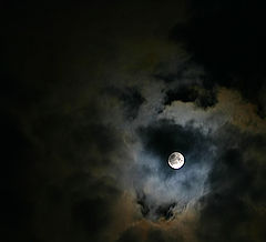 фото "Moon"