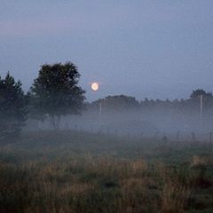 photo "Summer evening"