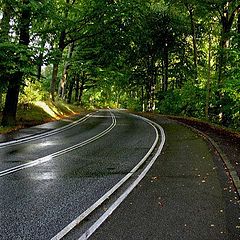 photo "tunnel"