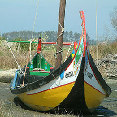 фото "Boats - Moliceiro"