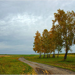 photo "Autumn Road"