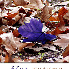 фото "blue autumn"