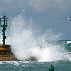 photo "Storm."