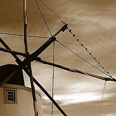photo "Wind mill #2"