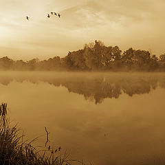 photo "Farewell fly-around."