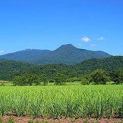 photo "Tropics"