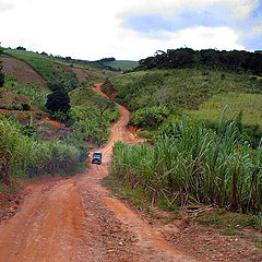 photo "The road"