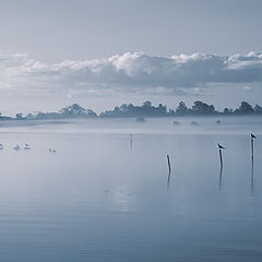 фото "Туманное утро - 1"