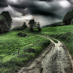 photo "the way"