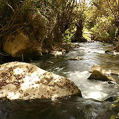 фото "Banias"