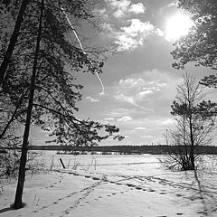 фото "весенний денек"