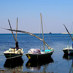 photo "Boats"