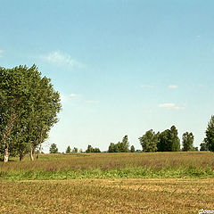 photo "Recollecting a summer"