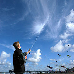 photo "Scheveningen kitefestival"