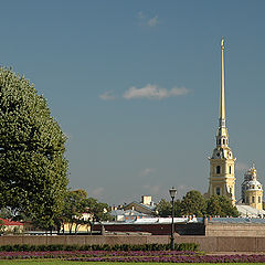 photo "The Petropavlovsky Cathedral Steeple"