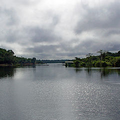 photo "Amazon EcoPark Gate"