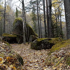 фото "Пути дорожки"