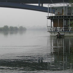 фото "Under The Bridge"