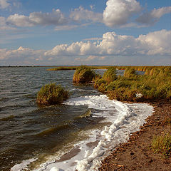 photo "Spume # 2"