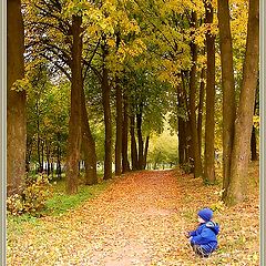 photo "The rare autumn mushroom has grown on avenue"