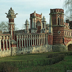 photo "The figured bridge"