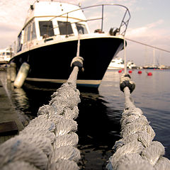 фото "At the docks"