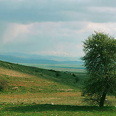 photo "Before a thunder-storm"