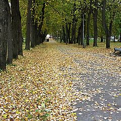 фото "По шуршащей листве..."