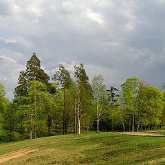 photo "In Prioratsk park"