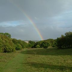 photo "rainbow"