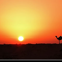 photo "Negev desert"