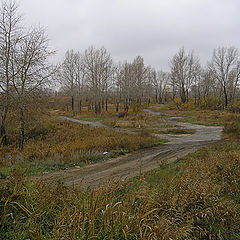 фото "Хмурое утро"