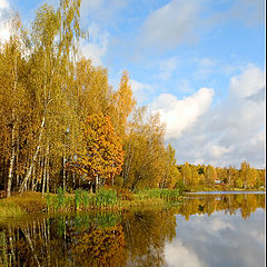 photo "Autumn palette #4"