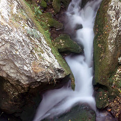 photo "pure foam"