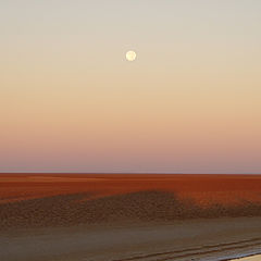 photo "Morning Moon in sold desert (North Africa)"